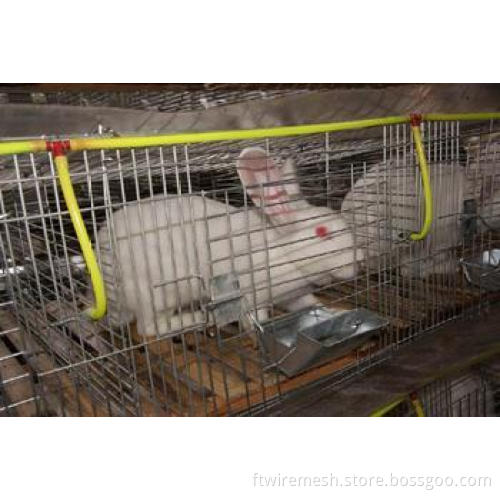 Breeding Cage